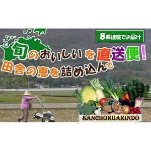 〈定期便8回〉創業100年！老舗の八百屋がチョイスした厳選やさいと旬の果物の詰め合わせ