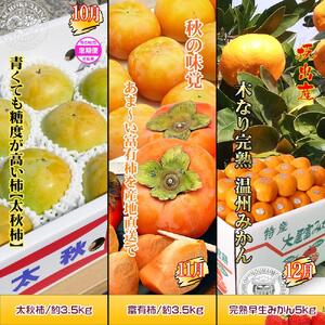 坂出産のフルーツとさぬきの特産品の定期便7回【Cコース】