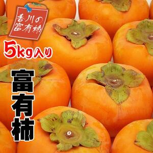 一度は食べたい香川産の完熟富有柿の詰め合わせ約5kg