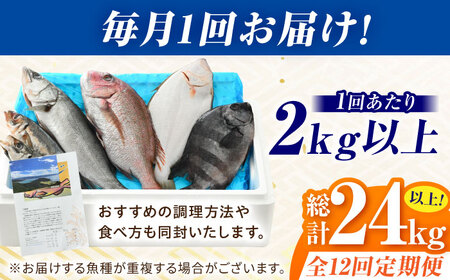 【定期便】全12回(毎月発送)【加福鮮魚】「若狭小浜港産地直送」旬の天然鮮魚お任せセット！ 小浜市 / 加福鮮魚【配送不可地域：北海道、北東北（秋田、青森、岩手）、九州、沖縄、離島】 [BFBC017] 