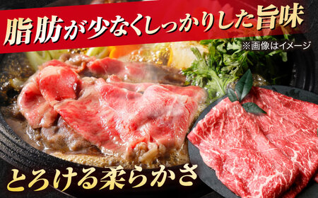 松葉がに しまね和牛 2大ブランド贅沢 味わいセット 松葉ガニ カニ [ALBO004]