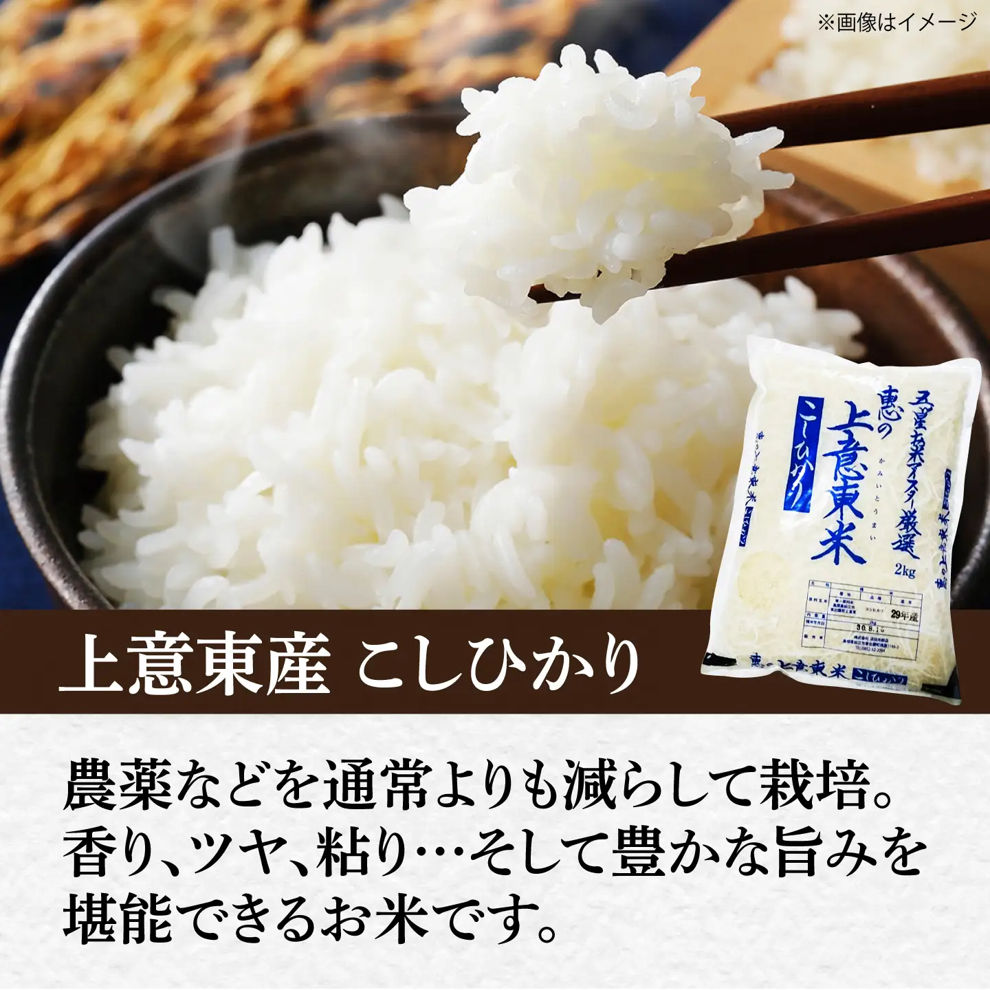 白米 コシヒカリ計7㎏ [ALBU006] 白米