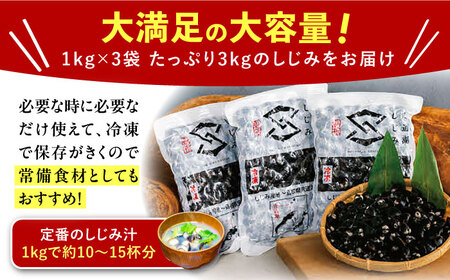 しじみ 地元でも入手困難なレアサイズ！ 宍道湖産ヤマトシジミ(冷凍砂抜き済み)Lサイズ1kg×3袋(3kg) 島根県松江市/宍道湖漁業協同組合[ALAZ002] しじみ しじみ