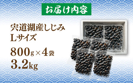 しじみ 宍道湖産 冷凍大和しじみ 砂抜き済 Lサイズ800g×4袋(3.2kg) 島根県松江市/しじみ市場株式会社[ALDK004] しじみ しじみ