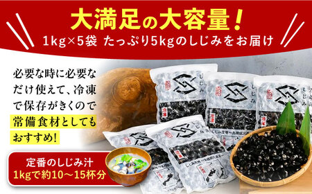 しじみ しじみ 地元でも入手困難なレアサイズ！ 宍道湖産ヤマトシジミ(冷凍砂抜き済み)Lサイズ1kg×5袋(5kg) 島根県松江市/宍道湖漁業協同組合[ALAZ001] しじみ しじみ