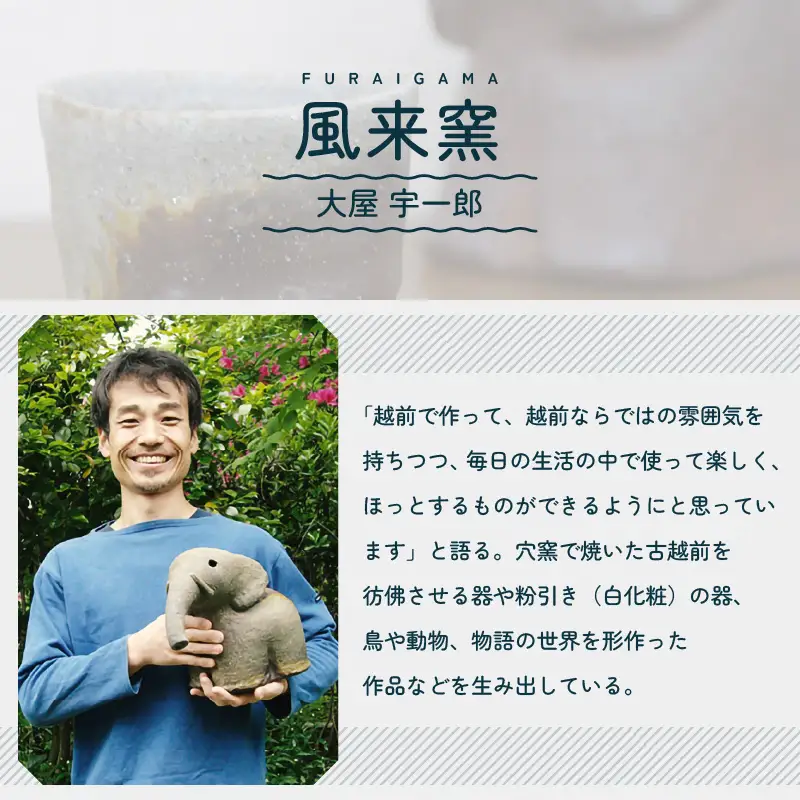 【越前焼】風来窯 雪イッチン紋  皿とカップ 【 陶器 食器  湯呑 福井県 伝統工芸品 】 [e25-b016]