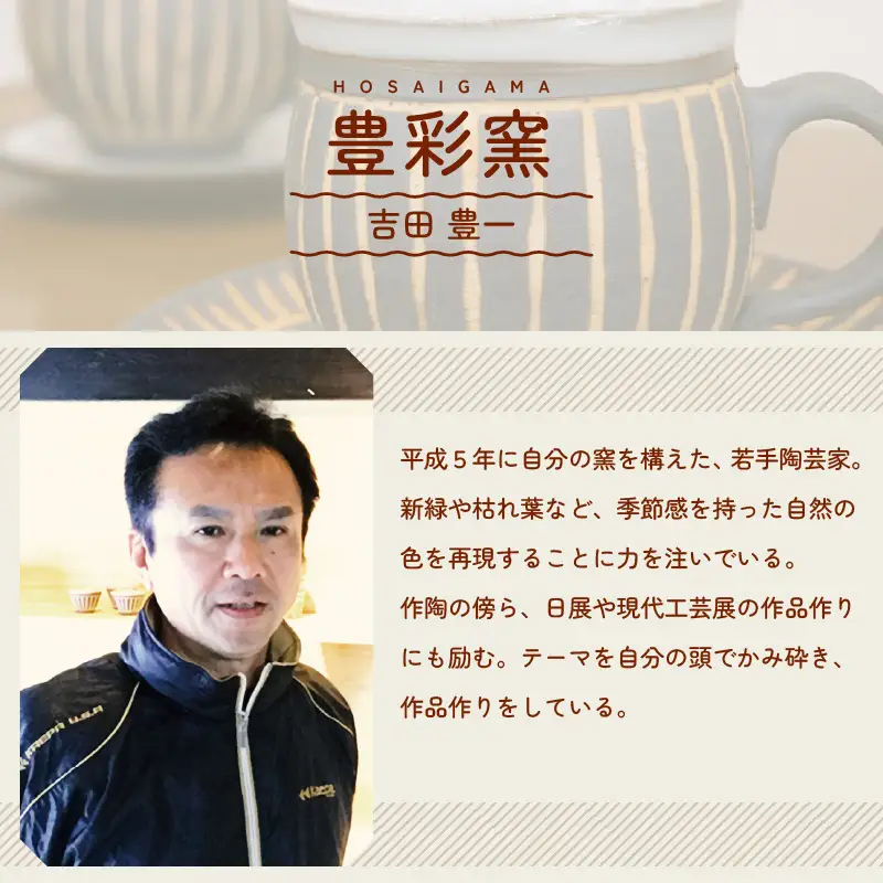 【越前焼】豊彩窯 セパレート 皿とカップ  【 陶器 食器  湯呑 福井県 伝統工芸品 マグカップ】 [e25-a010]