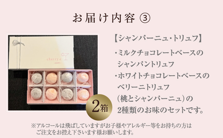 cherry.ｃ ショコラ 詰め合わせB
