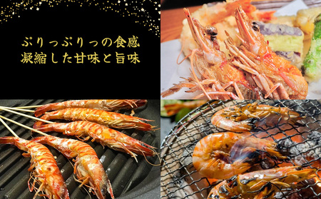 車海老【久米総合開発】活き〆急速冷凍 久米島ブランド車海老 大サイズ 500g  車えび 海鮮