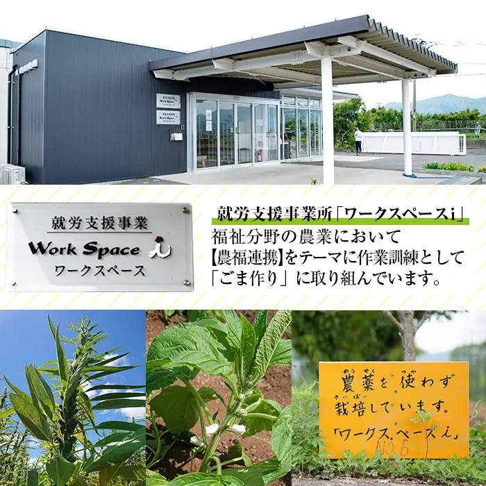 ESSEふるさとグランプリ2024 銀賞受賞！国産 農薬 不使用「くしきの金ごま」【数量限定】【00-073-01】