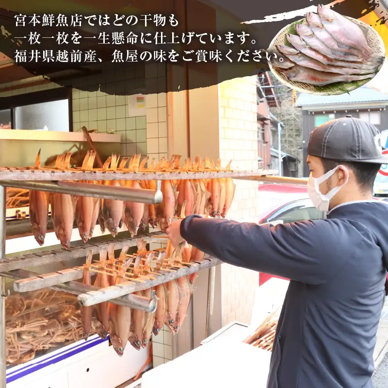 【先行予約】「冷蔵直送」 干物 熟成の旨味  越前産赤かれい (大）6枚【2026年9月以降順次発送】 魚 [e43-a004]
