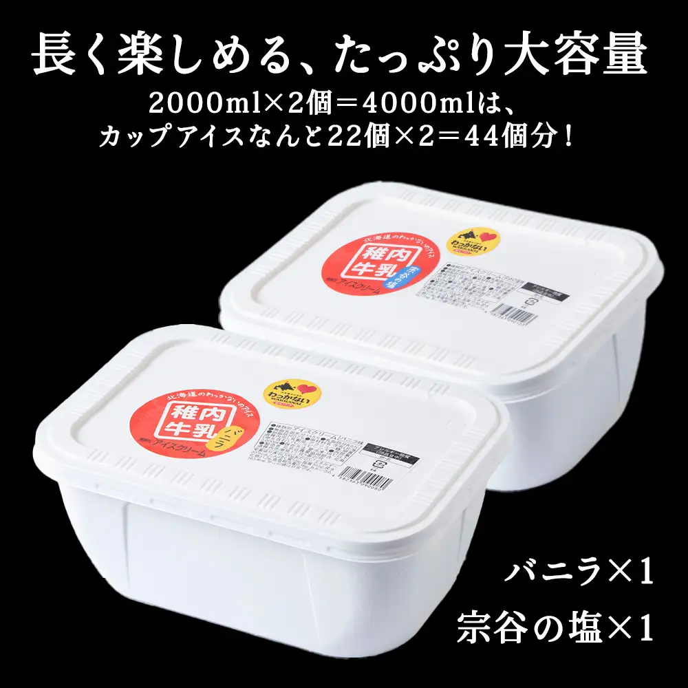 【業務用】稚内牛乳アイスクリーム2000mlバニラ×宗谷の塩2個セット【配送不可地域：離島・沖縄県】