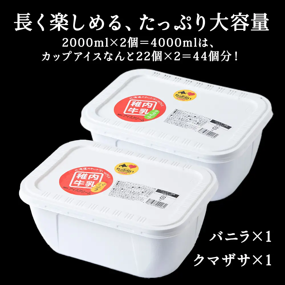 【業務用】稚内牛乳アイスクリーム2000mlバニラ×クマザサ2個セット【配送不可地域：離島・沖縄県】