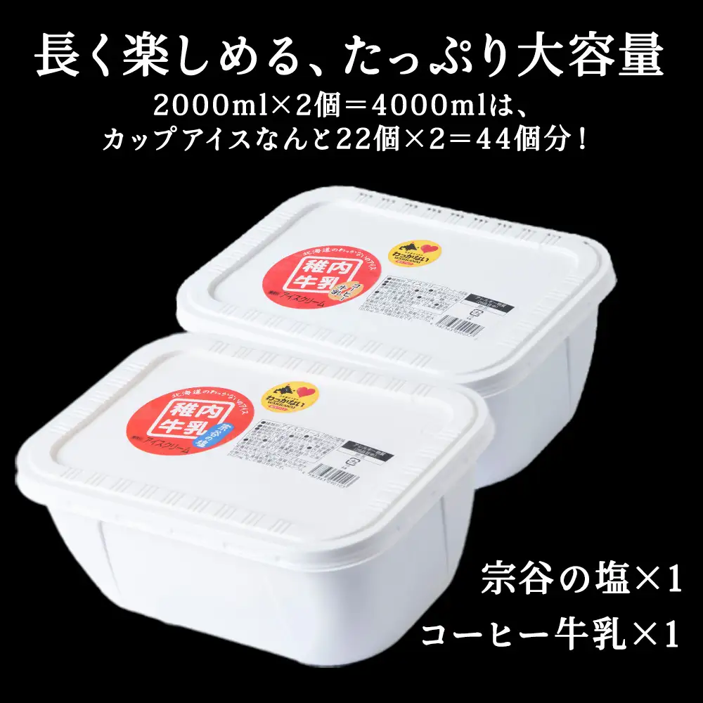 【業務用】稚内牛乳アイスクリーム2000ml宗谷の塩×コーヒー牛乳2個セット【配送不可地域：離島・沖縄県】