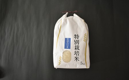 北海道浦河町の特別栽培米「おぼろづき」精米(5kg×1袋)[37-1132]