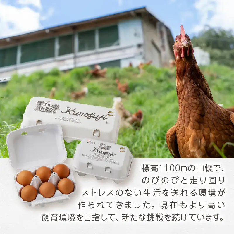甲州放牧卵の定期便 30個×6回　F-501【卵 たまご 放牧卵 定期便】