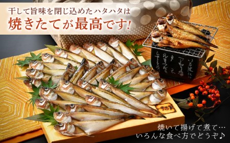 越前産 干しはたはた（3～4尾）× 9パック 完全無添加！越前塩のみで仕上げた一塩干し！【無添加 干物 海鮮 冷凍 個包装】 [e04-a107]