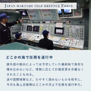 大湊海自カレー「護衛艦おおよどカレー」レトルト　200g×4
