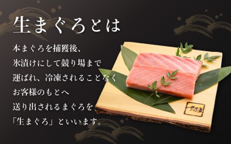 まぐろの王様！生本マグロ 大トロ 300g [e04-b029]