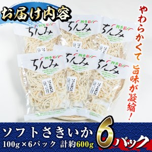 ソフトさきいか(計約600g・100g×6P)干物  海産物 常温 【E-26】【水永水産】