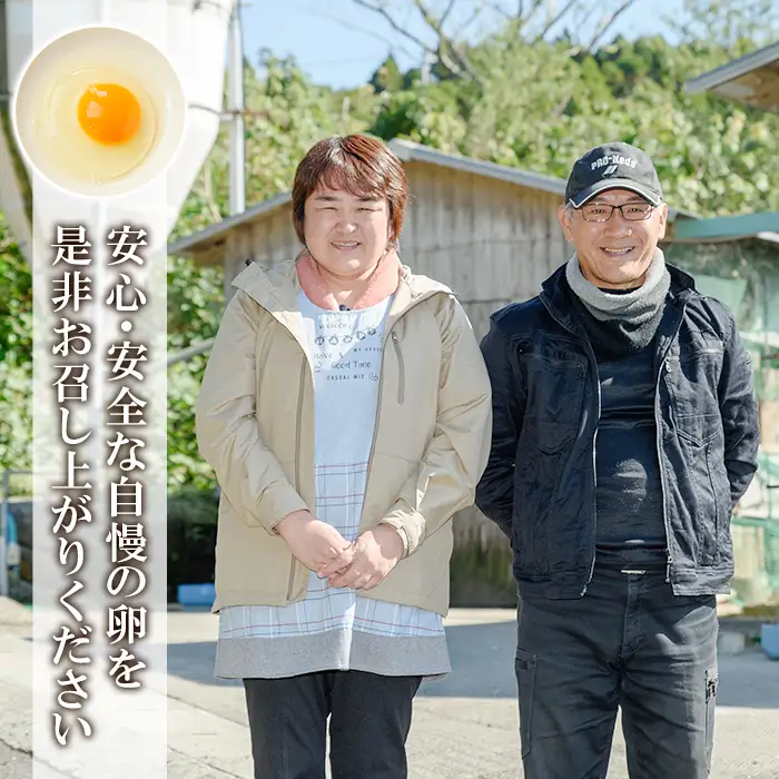 たまご　6パック 60個入り　健康電子たまご　(内10個 宅配破損時 保証卵付) 【00-095-03】