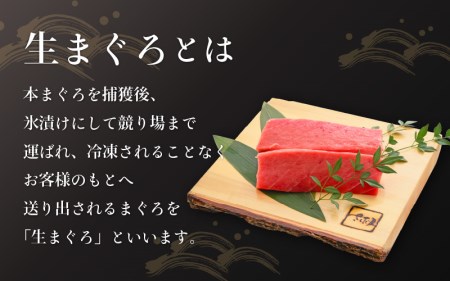  まぐろの王様！生本マグロ 中トロ 300g  [e04-a081]