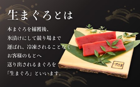 まぐろの王様！生本マグロ 赤身 300g  [e04-a082]