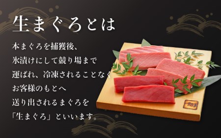まぐろの王様！生本マグロ！まぐろ三昧セット合計900g前後（赤身・中トロ・大トロ各約300g） [e04-e005]