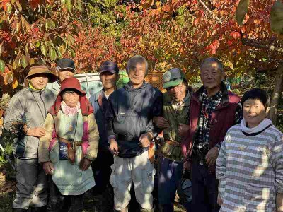 【2026年12月より順次発送】柿の王様 池尻農園 田主丸町の富有柿(冷蔵)2L 16玉入り 約4.2㎏_柿 約 4.2kg 富有柿 2L サイズ 16玉 入り 個包装 柿の王様 甘柿 人気 高い 国産 フルーツ 果物 高品質 天皇への献上品 福岡県 久留米市 田主丸 お取り寄せ お取り寄せフルーツ 冷蔵 生食 食品 食べ物 送料無料 〔Fk106〕