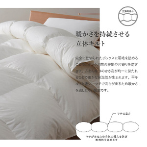 【甲州羽毛肌掛けふとん】ポーランドプレミアムマザーグース95%超長綿 ホワイト (セミダブル)  お任せカバー付き 布団 寝具 布団