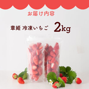 冷凍いちご  2kg 章姫 国産   静岡県 牧之原市 藤田農園