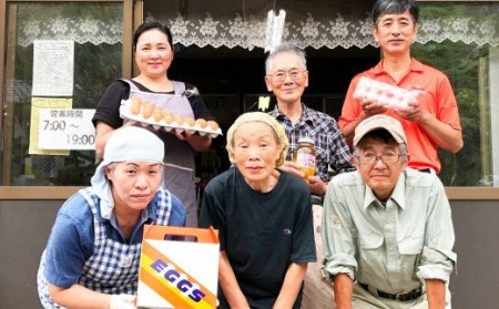 【定期便 年6回】球磨球子 40個入×6回 鶏卵 卵 玉子 たまご くまたまご（破損保証有り）