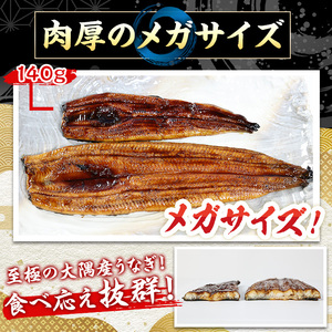 うなぎ 国産 蒲焼 無頭 1尾 (300g) 特大 アクアおおすみ 0104312a