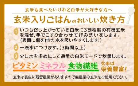 【中日賞受賞】 有機栽培 JAS認証 米 越前コシヒカリ 2kg 【玄米】【こしひかり 田んぼの天使 】 [e10-a020]