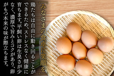 B-810【3回定期便】季節のお野菜と平飼い卵のセット (8～10品)
