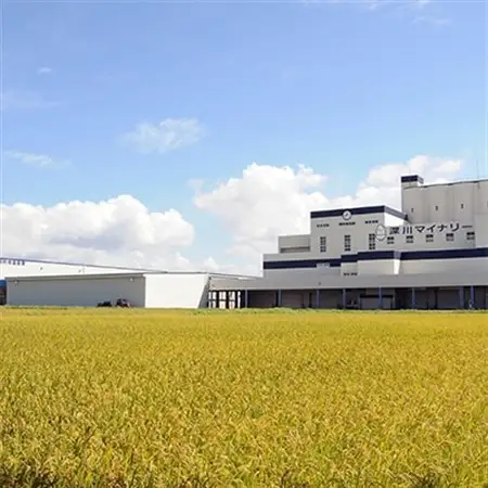 【令和7年産】北海道深川産ななつぼし10kg(5kg×2袋)(普通精米)【1296660】