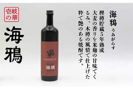 【全3回定期便】隆美焼酎25度と海鴉25度のセット [JDB189] 45000 45000円