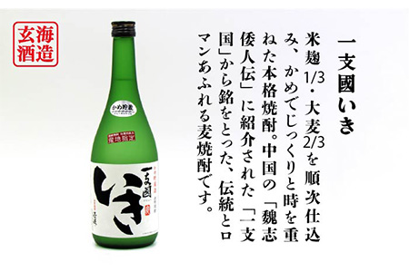 【全3回定期便】隆美焼酎・かめ貯蔵 いき 27度の2本入りセット [JDB198] 45000 45000円