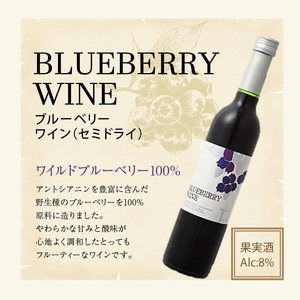 女性に大人気！ワインの赤ちゃん（500ml×2本）・ブルーベリーワインセミドライ（500ml×1本）の3本セット_ワインの赤ちゃん 2本 ブルーベリーワイン 1本 500ml × 3本 セット 初々しい 酸味 果汁っぽい 甘さ ボトルを振る 乳白色 出産祝い 最適 ワイルド ブルーベリー 100% やわらかな甘みと酸味 フルーティー ワイン お取り寄せ 福岡県 久留米市 送料無料 〔Ew004〕