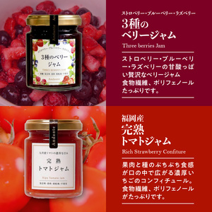 【アンダンテ】産地にこだわった美味しい ノンシュガー手作りジャム6種セット（6瓶入）_ノンシュガー 手作り ジャム コンフィチュール 6種 セット いちご 桃 オレンジ ライム いちじく ベリー トマト フルーツ 瓶詰め おなかにやさしい 虫歯になりにくい イソマルオリゴ糖 フラクトオリゴ糖 砂糖不使用 久留米市 福岡 お取り寄せ 送料無料 〔Ca016〕