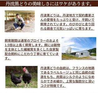 鶏肉 地鶏丹波黒どり 手羽元 4kg（500g×8）訳あり鶏肉