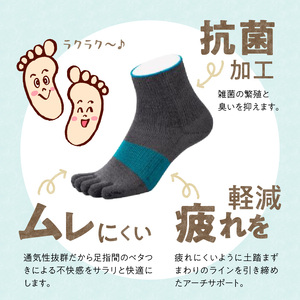 和紙×コラーゲンナイロン異素材コラボで足の悩みをサポート 爽快な履き心地 アルキテクト・クール3足入り（3色/L寸） 〔Qm010〕