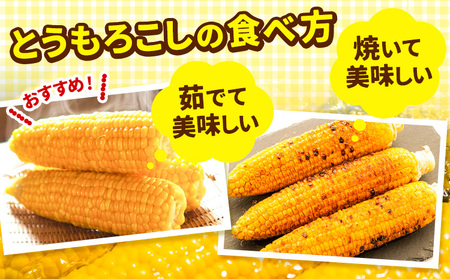 とうもろこし ゴールドラッシュ 50本 8/19朝採り 1本100円にて販売致します。 北海道産とうもろこし ゴールドラッシュ