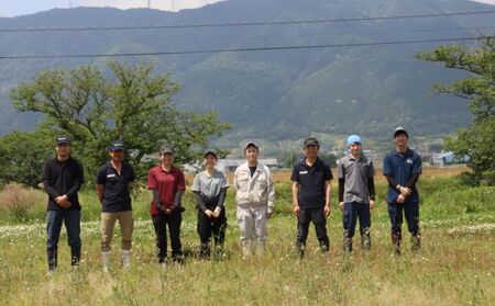 【数量限定】【飛騨牛】海津市産ミスジ焼肉オリジナルカット 【配達不可：離島】 お肉 牛肉 焼肉用 バーベキュー 国産 ブランド牛 岐阜県産 希少部位 柔らかい サシ 霜降り 口どけが良い 脂 バランス おうち焼肉 