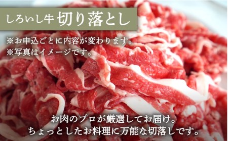 手ごねハンバーグ 5個＆切り落とし 1000g / ハンバーグ 牛肉切り落とし [IAH178]