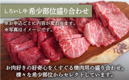 手ごねハンバーグ 5個＆焼肉用 盛り合わせ 420g / ハンバーグ 焼肉 [IAH179]