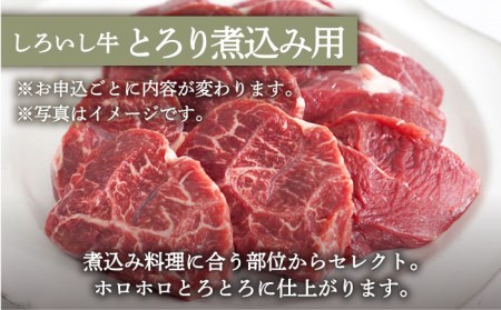 手ごねハンバーグ 5個＆とろり煮込み用 700g / ハンバーグ [IAH181]