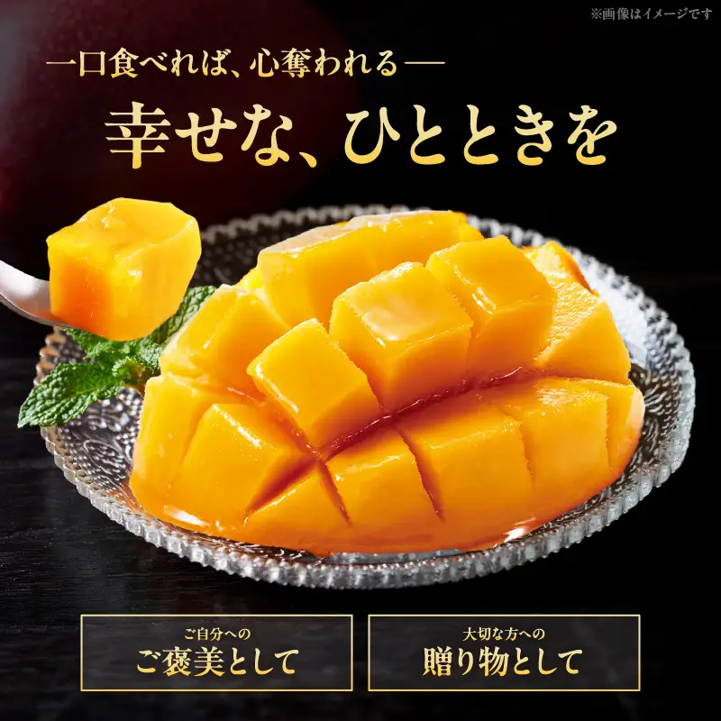 【先行予約/数量限定】完熟マンゴー『太陽のタマゴ』２玉（約１kg）/ 太陽のタマゴ 濃厚 甘い マンゴー 果物 宮崎県 綾町【JA綾町】_A0114-1001