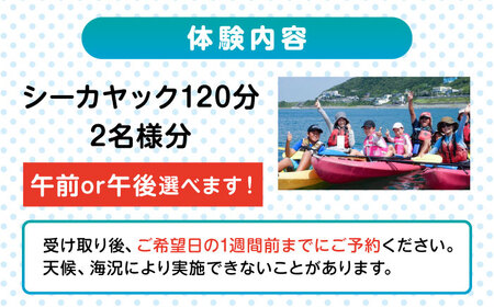 コアアウトフィッターズ 葉山・秋谷 体験カヤック ペア 2名様 神奈川 横須賀 葉山 三浦半島 秋谷 レジャー 体験 観光 旅行 シーカヤック カヤック マリンスポーツ 海 カップル 夫婦 友人 お子さま連れ 【コアアウトフィッターズ】 [AKBT002]