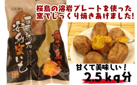 種子島 石蔵熟成 冷凍 安納焼いも 西田農産 500g ×5袋　NFN118 【350pt】